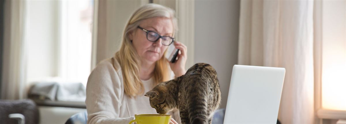 A woman sits at a desk with a computer in front of her. She is on the phone. Her cat is on the desk.