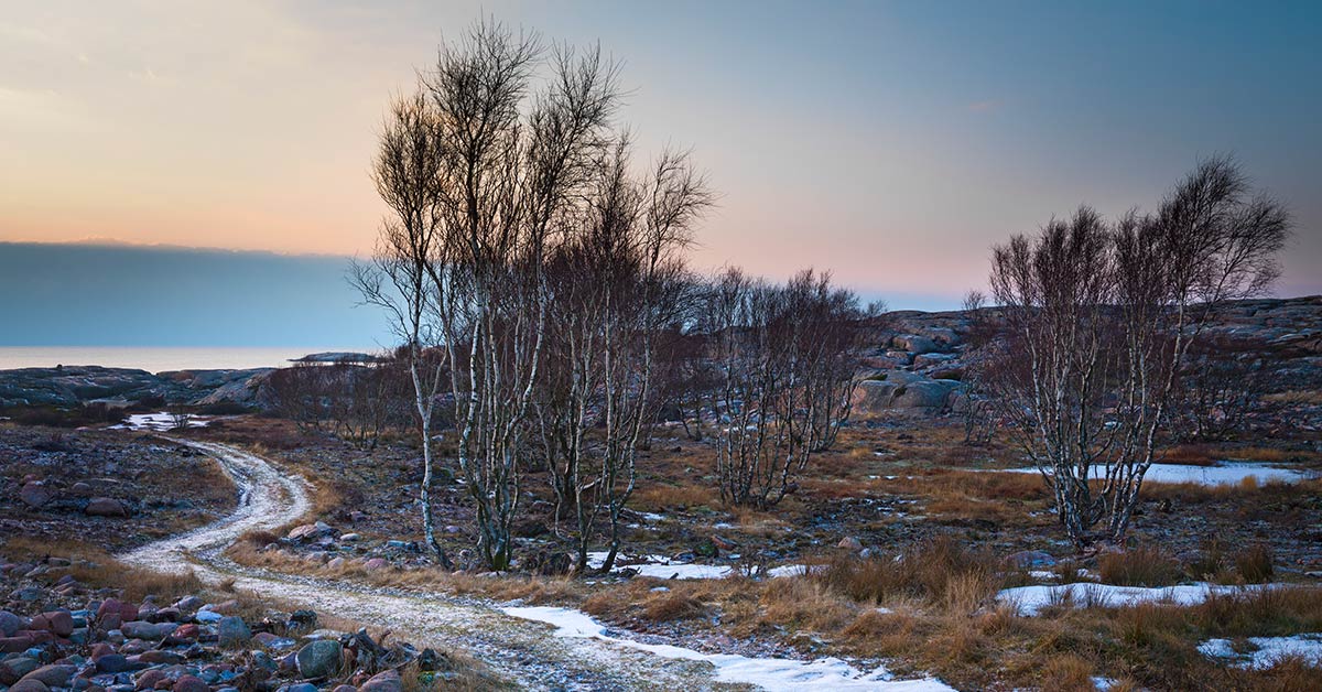 Support  - Handelsbanken.se