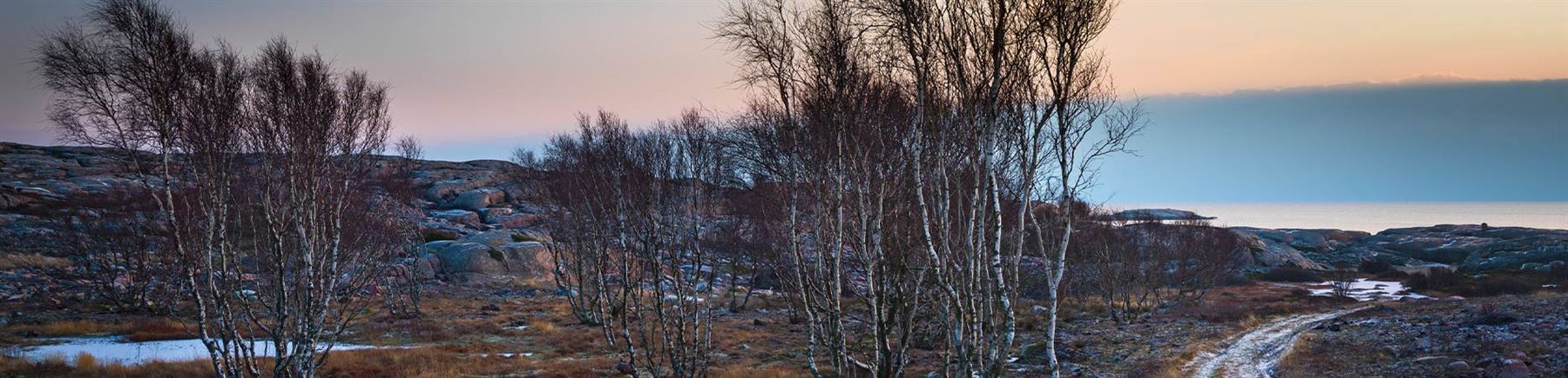 Support  - Handelsbanken.se